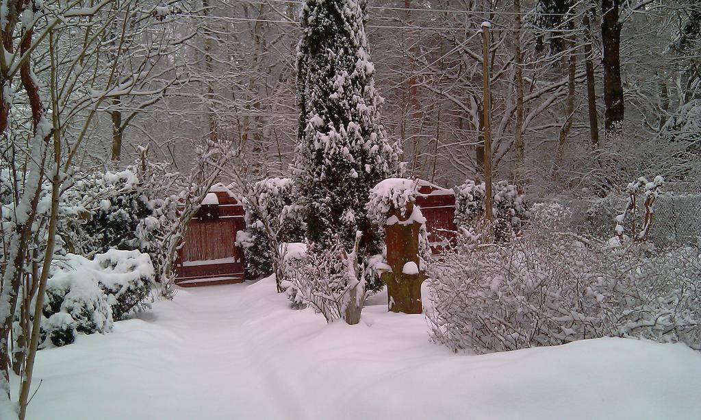 Norwegisches Holzhaus Neuruppin Exterior foto